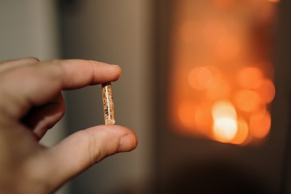 Pellet de bois mis en valeur devant un poêle à pellets