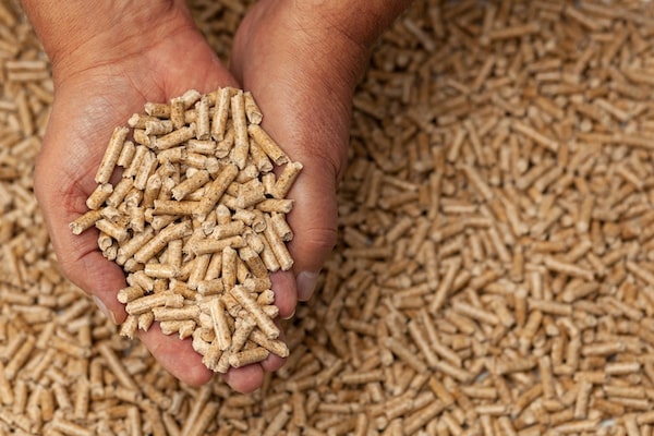 Pellets de bois dans des mains