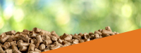 Quand et où acheter ses pellets de bois ?